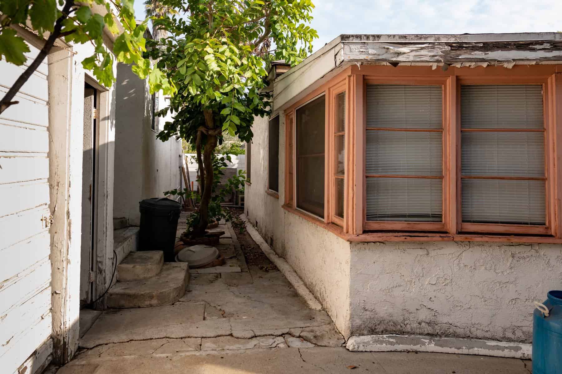 Narrow outdoor walkway with cracked concrete, overgrown tree, and weathered buildings