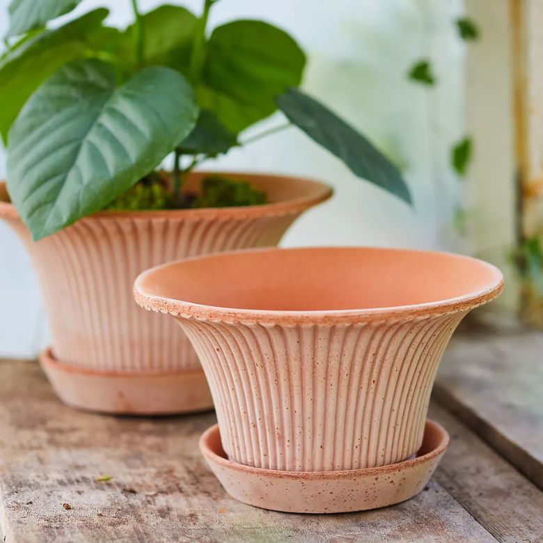 Fluted Terracotta Pot + Saucer Set