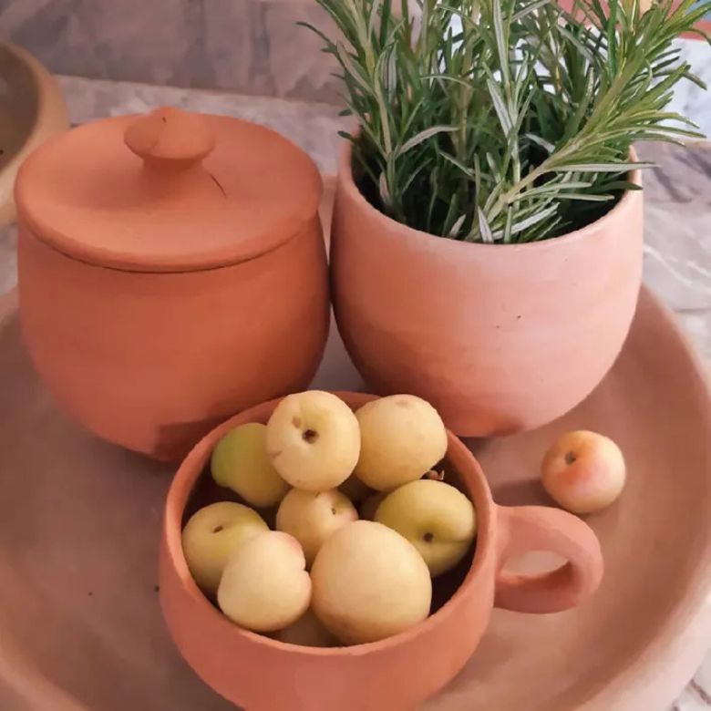 Artisanal Large Terracotta Pot with Lid