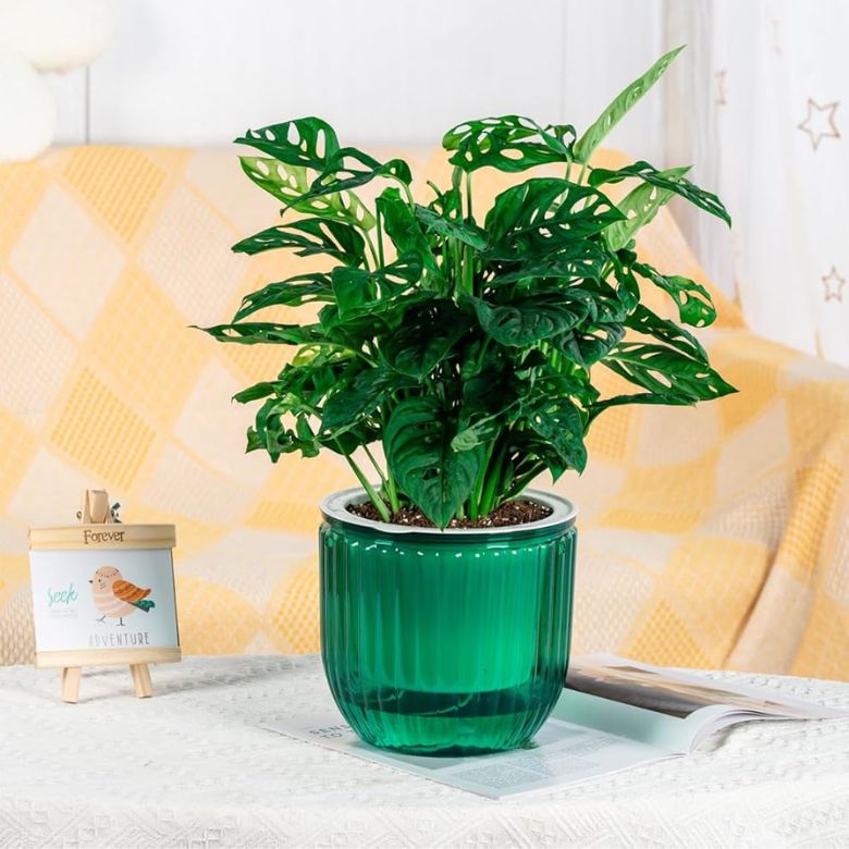 Emerald Green Self Watering Hanging Planter