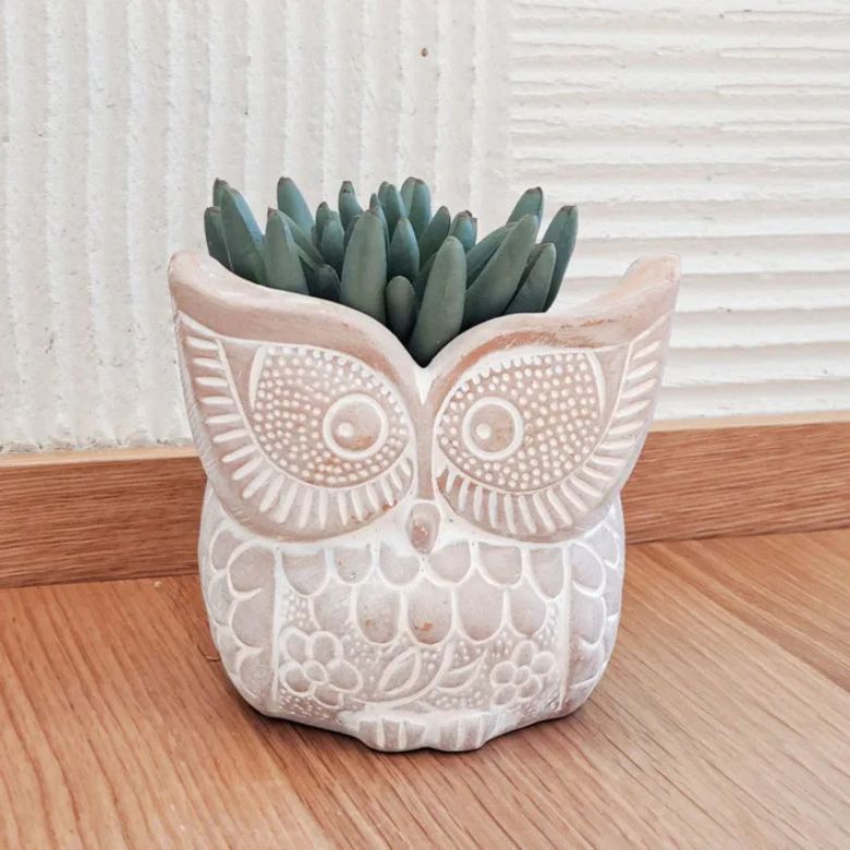 Handmade White Washed Terracotta Owl Pot