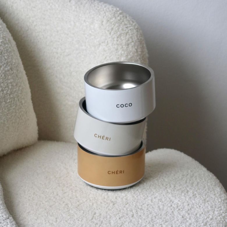 Personalized Stainless Steel Dog Bowl