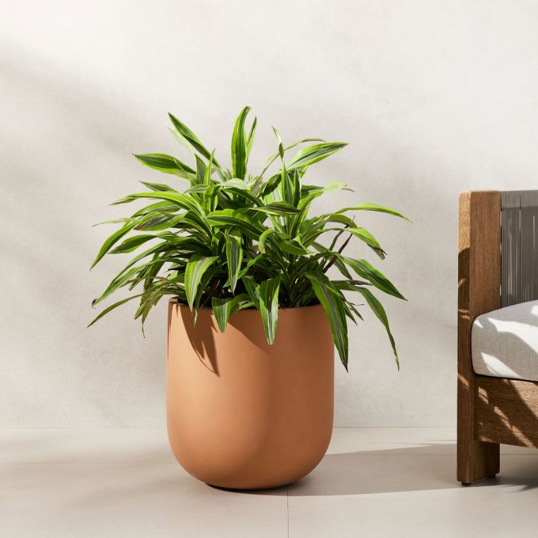 Ficonstone Indoor/Outdoor Terracotta Planter