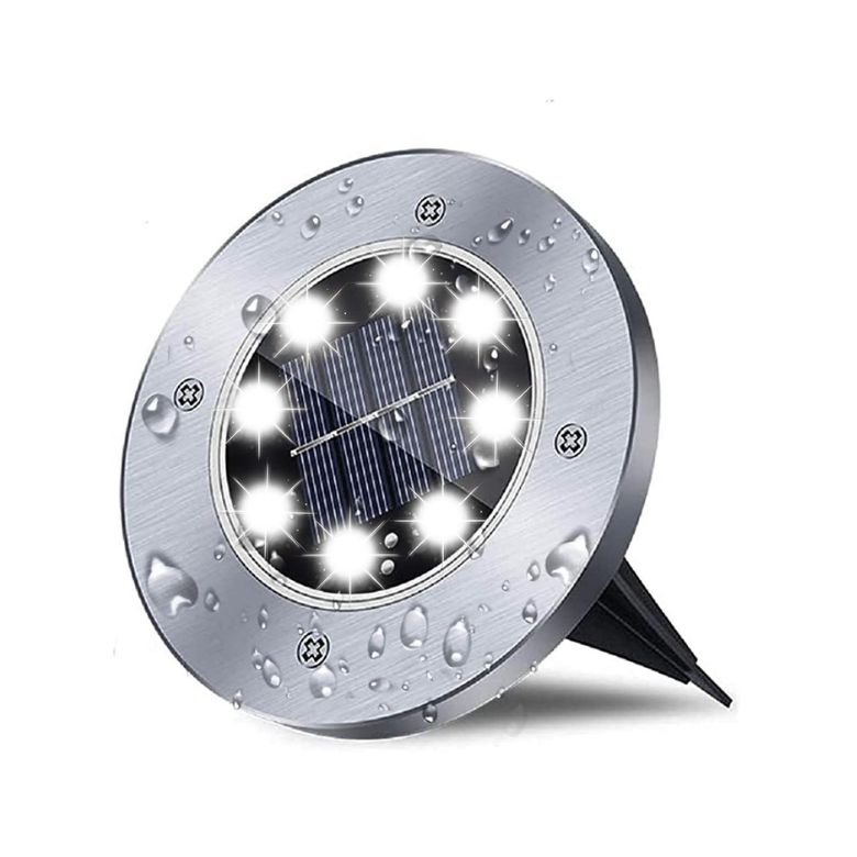 Rayolon Waterproof Solar Garden Light