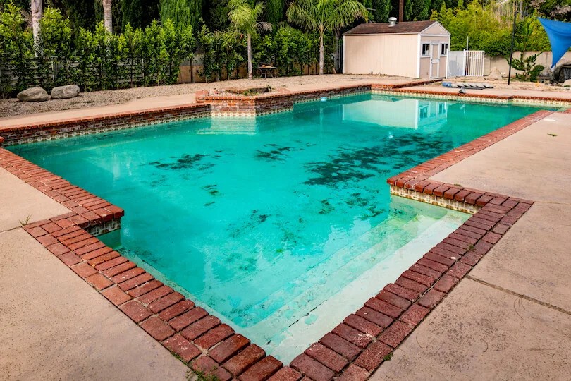 Backyard pool with red brick trim, concrete deck, and surrounding greenery