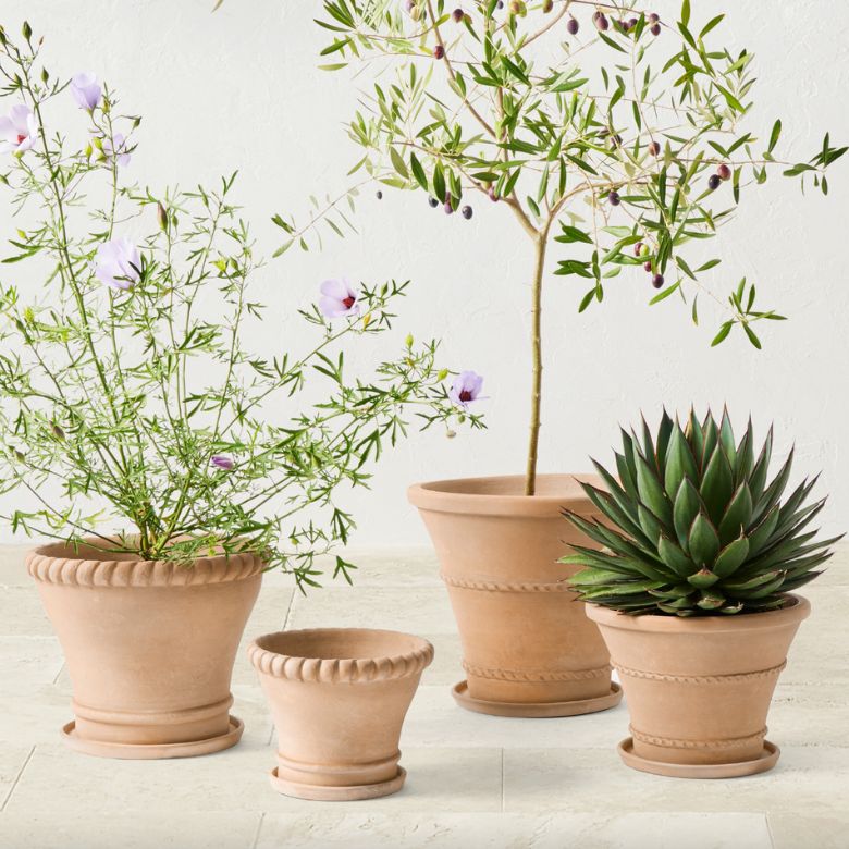 Terracotta Rope Planter