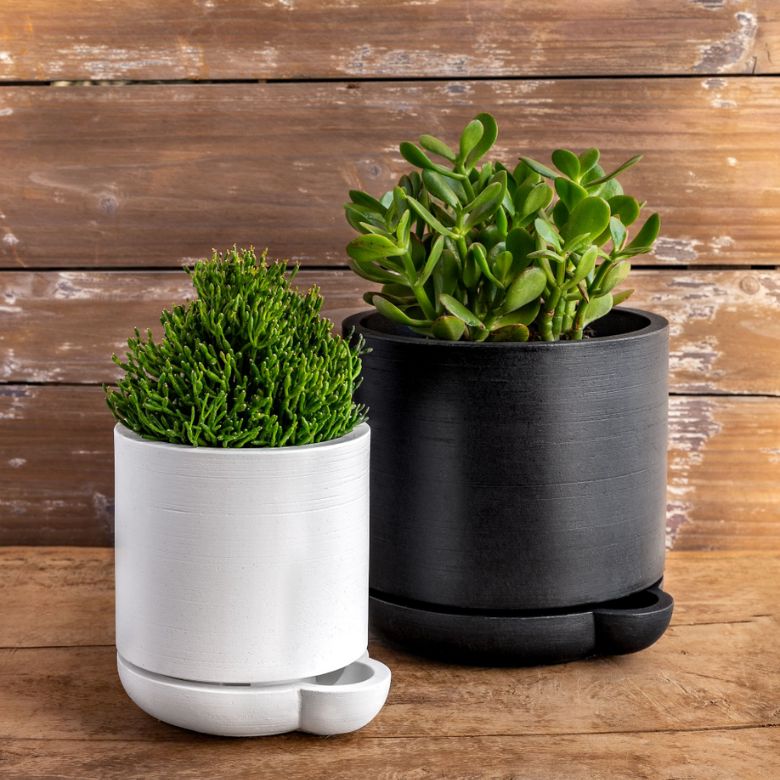 Black and White Self-Watering Pots