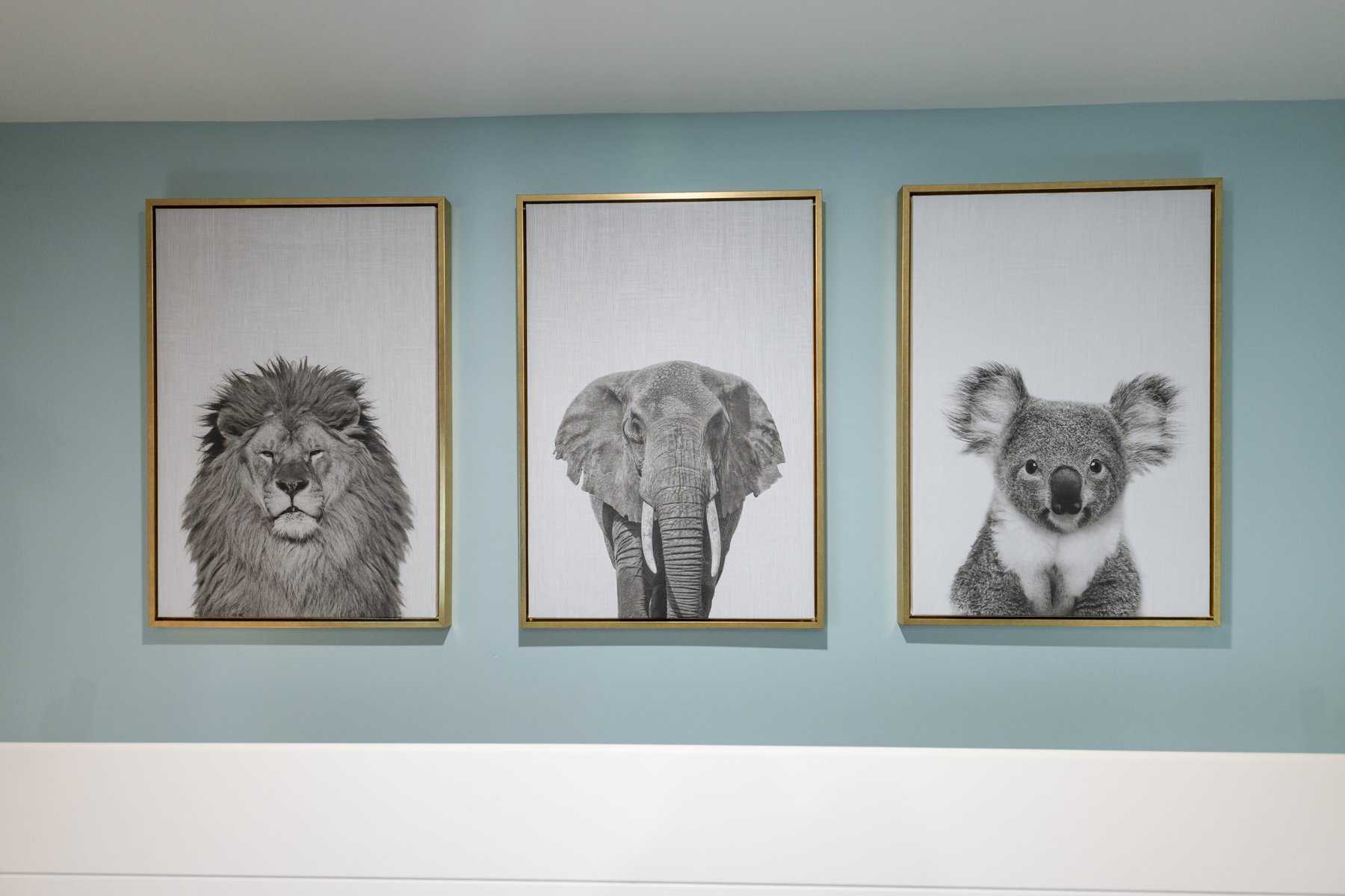 Trio of framed black-and-white animal portraits featuring a lion, elephant, and koala on a light blue wall