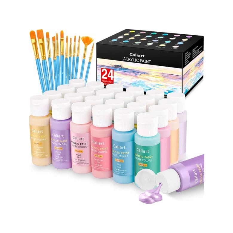acrylic paint set with brushes