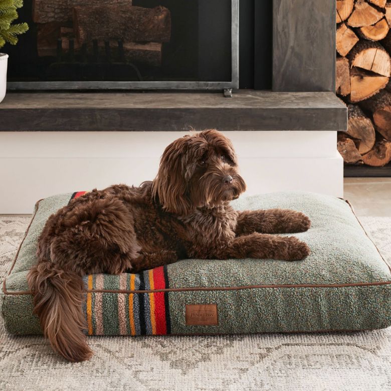 A brown dog laying on a green blanket on a dog bed.