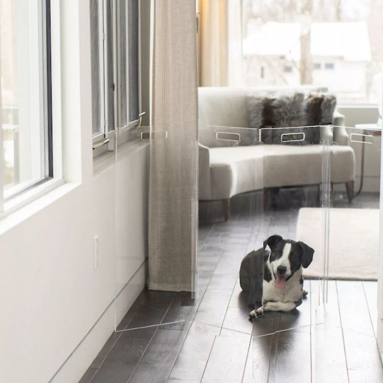 clear freestanding pet gate