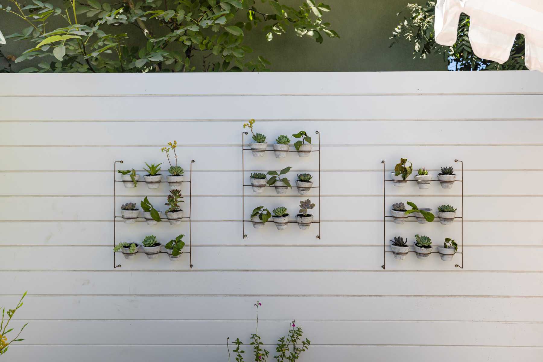 Succulent wall planters mounted on a white slatted fence with greenery above