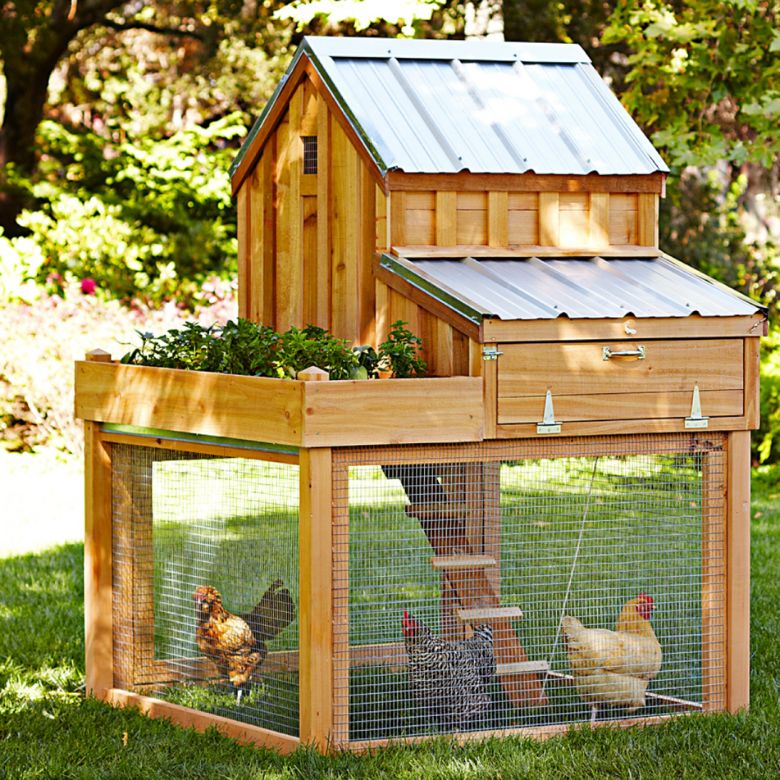 Cedar Chicken Coop