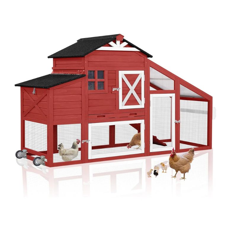Red Chicken Coop with Chicken Run
