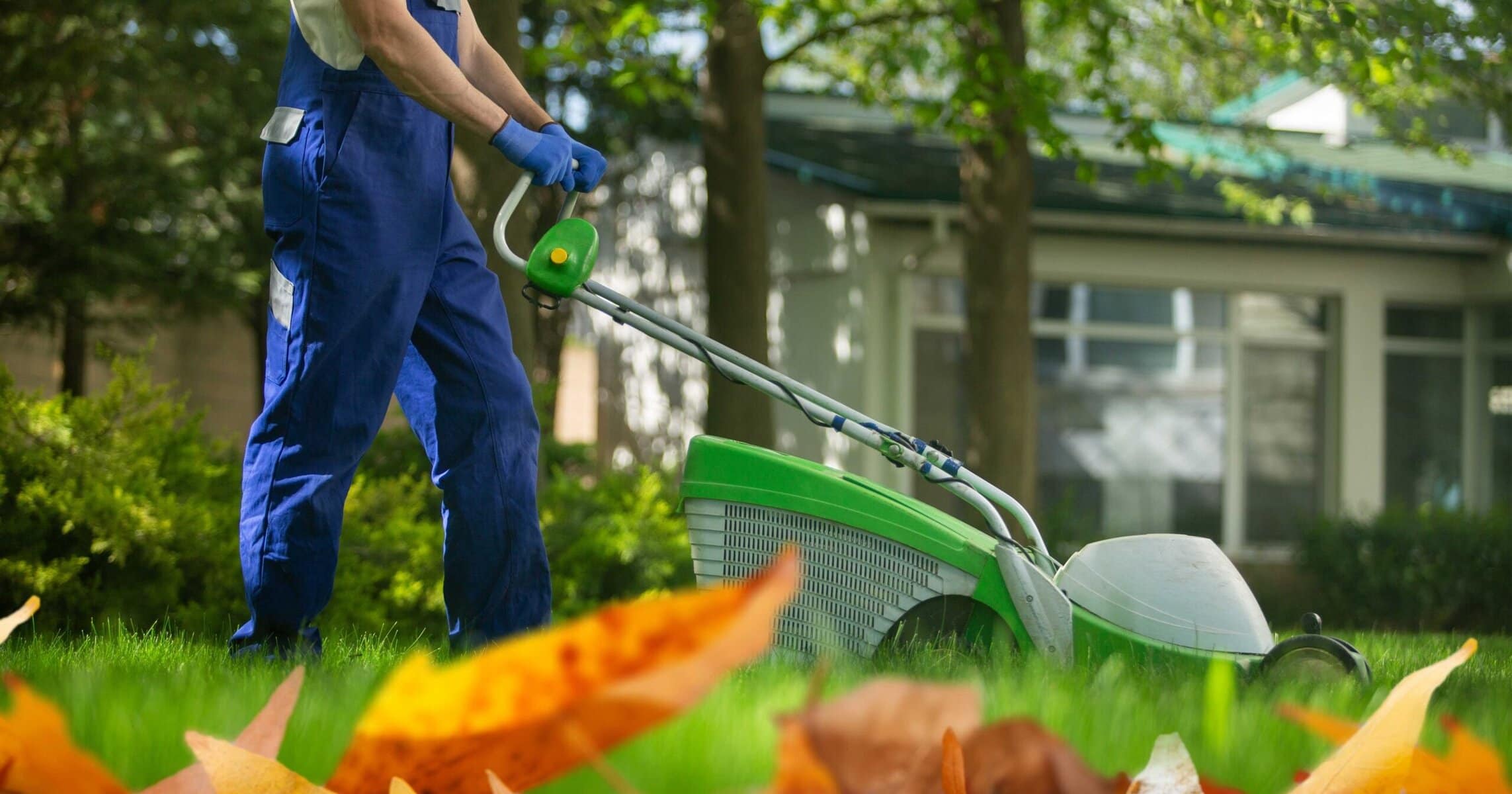 when to fertilize lawn