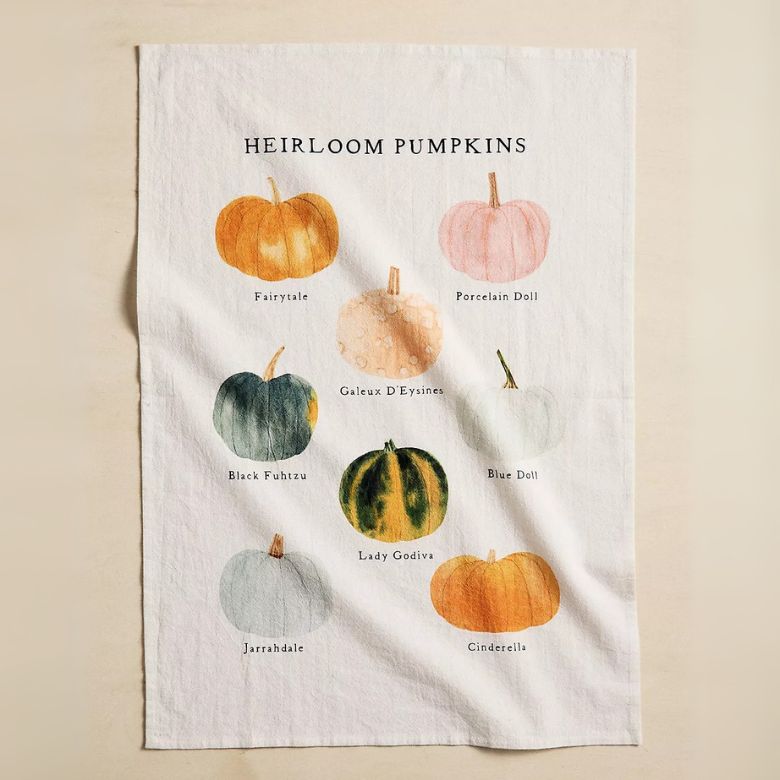dish towel with print of different types of pumpkins labeled