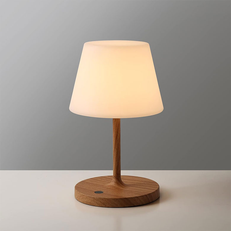 portable desk lamp
