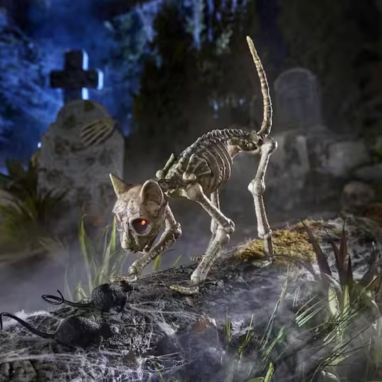 creepy skeleton cat halloween decoration