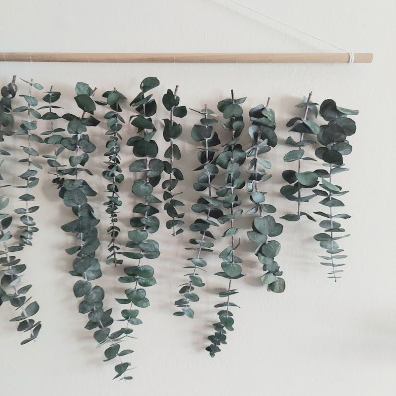 wall-hanging eucalyptus