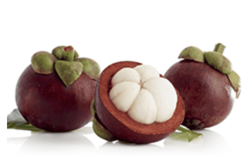 mangosteen fruit