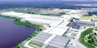 Veolia starts to export insect meal and oil to Europe