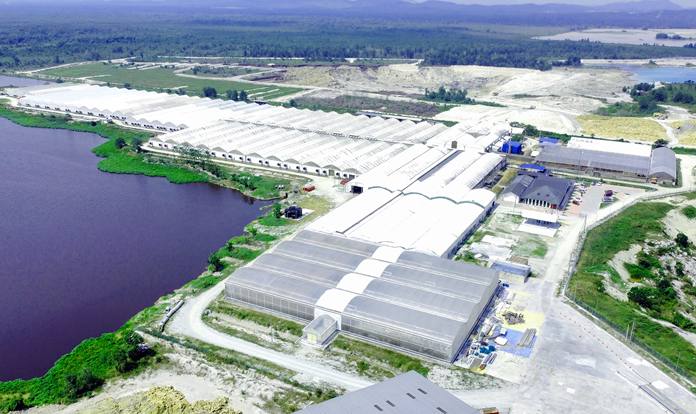 Veolia starts to export insect meal and oil to Europe