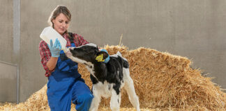 A major discovery in the science of fatty acids