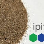 IPIFF: "A major step forward for the European insect sector"