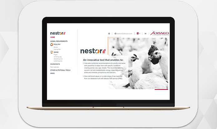 NESTOR: A new software by Adisseo to formulate in Net Energy 
