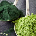 AB Agri begins to grow algae in Pond Algae Lab