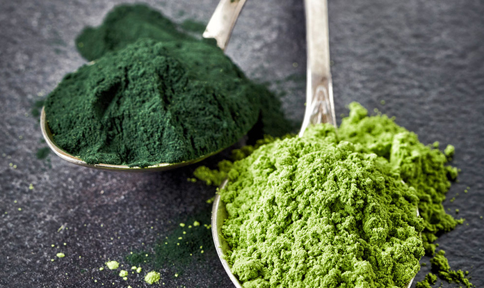 AB Agri begins to grow algae in Pond Algae Lab