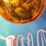 AB Vista acquires natural additive from Hankkija