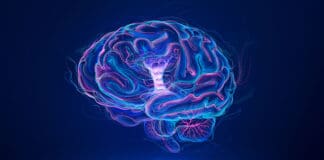 AB Vista supports sustainability programmes of feed manufacturers