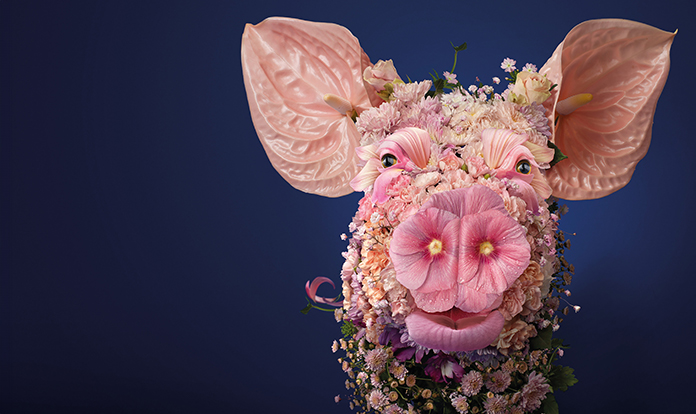 AB Vista to present latest fiber research with academic professionals