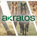 ADM and Alltech combine feed businesses under Akralos