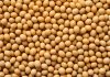 ADM offers traceable soybean meal to European customers