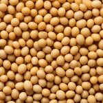 ADM offers traceable soybean meal to European customers