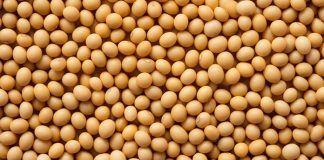ADM offers traceable soybean meal to European customers