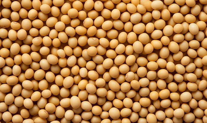 ADM offers traceable soybean meal to European customers 