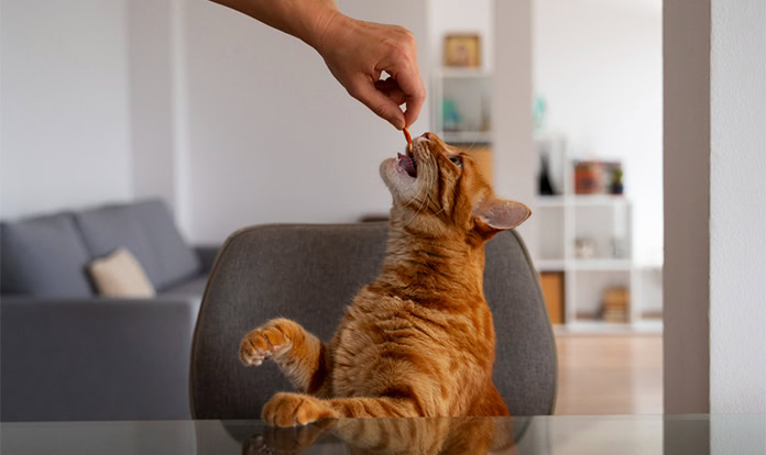 ADM opens microbiome research hub for pet and livestock health