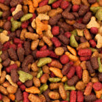 ADM shares key opportunities for innovation in pet nutrition market