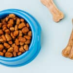 ADM to buy majority stake in pet-food business P4 Companies