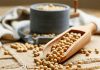 ADM to focus on traceable soybean meal and oil at SPACE 2024
