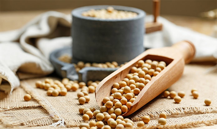 ADM to focus on traceable soybean meal and oil at SPACE 2024