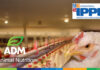 ADM to showcase poultry nutrition research at IPPE 2026