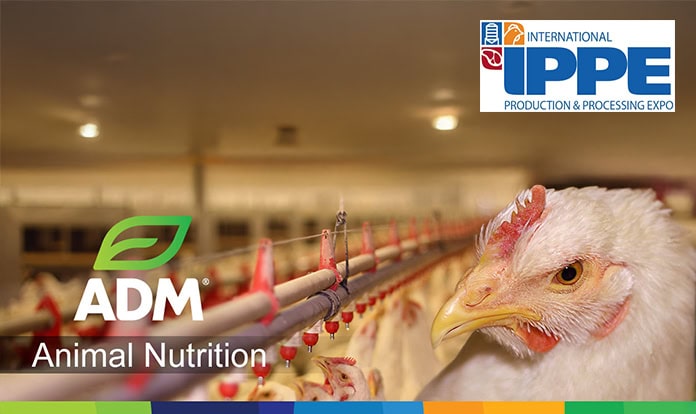 ADM to showcase poultry nutrition research at IPPE 2026