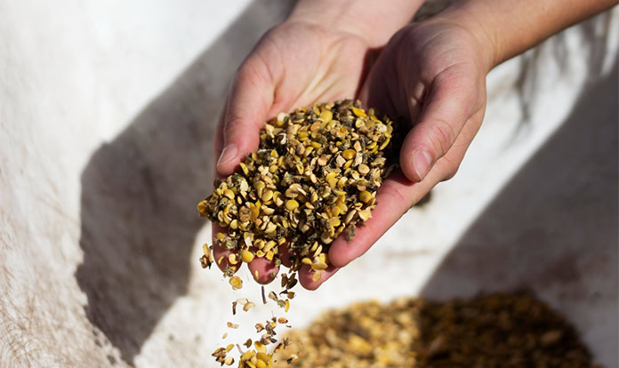 AFIA opens registration for PCQI training course