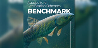 ALI releases 2025 Aquaculture Certification Schemes Benchmark