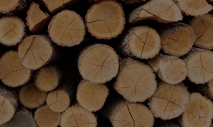 ARBIOM receives €12 million to build its first commercial plant