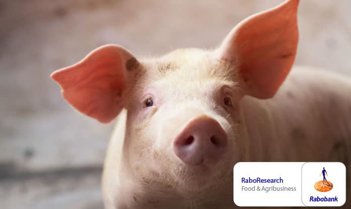 ASF: Ongoing change in global pork markets in 2021